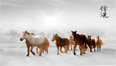 公司領(lǐng)先圖片