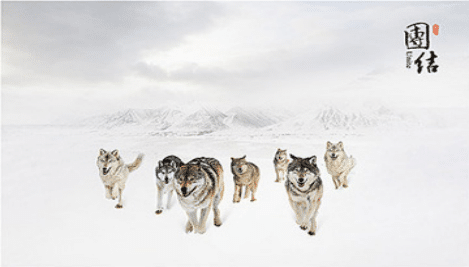 公司團結(jié)圖片